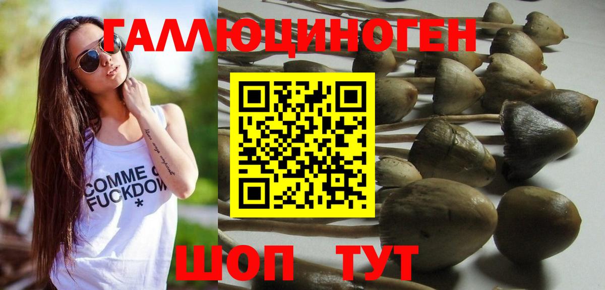 Воронеж  Псилоцибиновые грибы Psilocybine cubensis  Вход с VPN  где продают   Галлюциногенные грибы Magic Shrooms 
