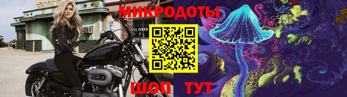 Галлюциногенные грибы Psilocybe Воронеж
