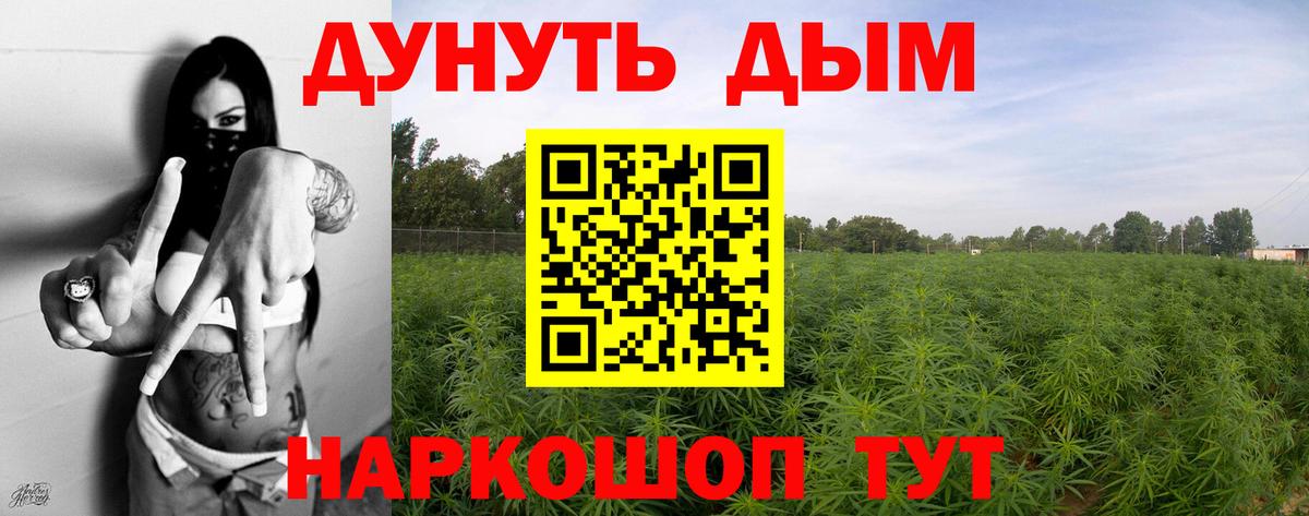 Воронеж  Марихуана ГИДРОПОН  Конопля планчик  Шишки марихуана Ganja  Вход с VPN 